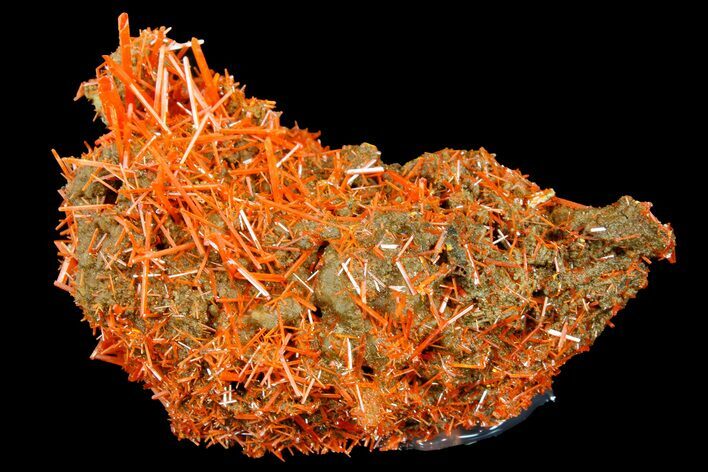 Bright Orange Crocoite Crystal Cluster - Tasmania #182726